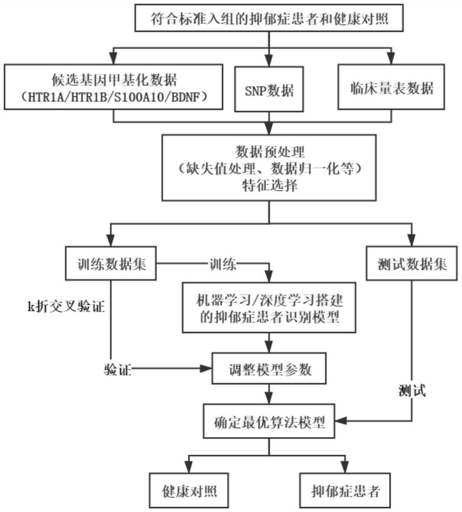 Depression assessment method and system based on candidate gene methylation sequencing and deep learning