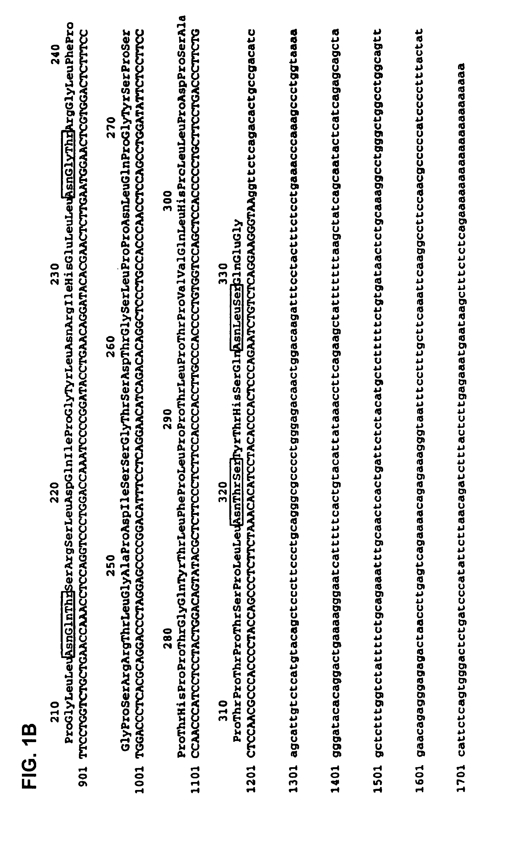 Nucleic acids encoding MPL ligand (thrombopoietin), variants, and fragments thereof