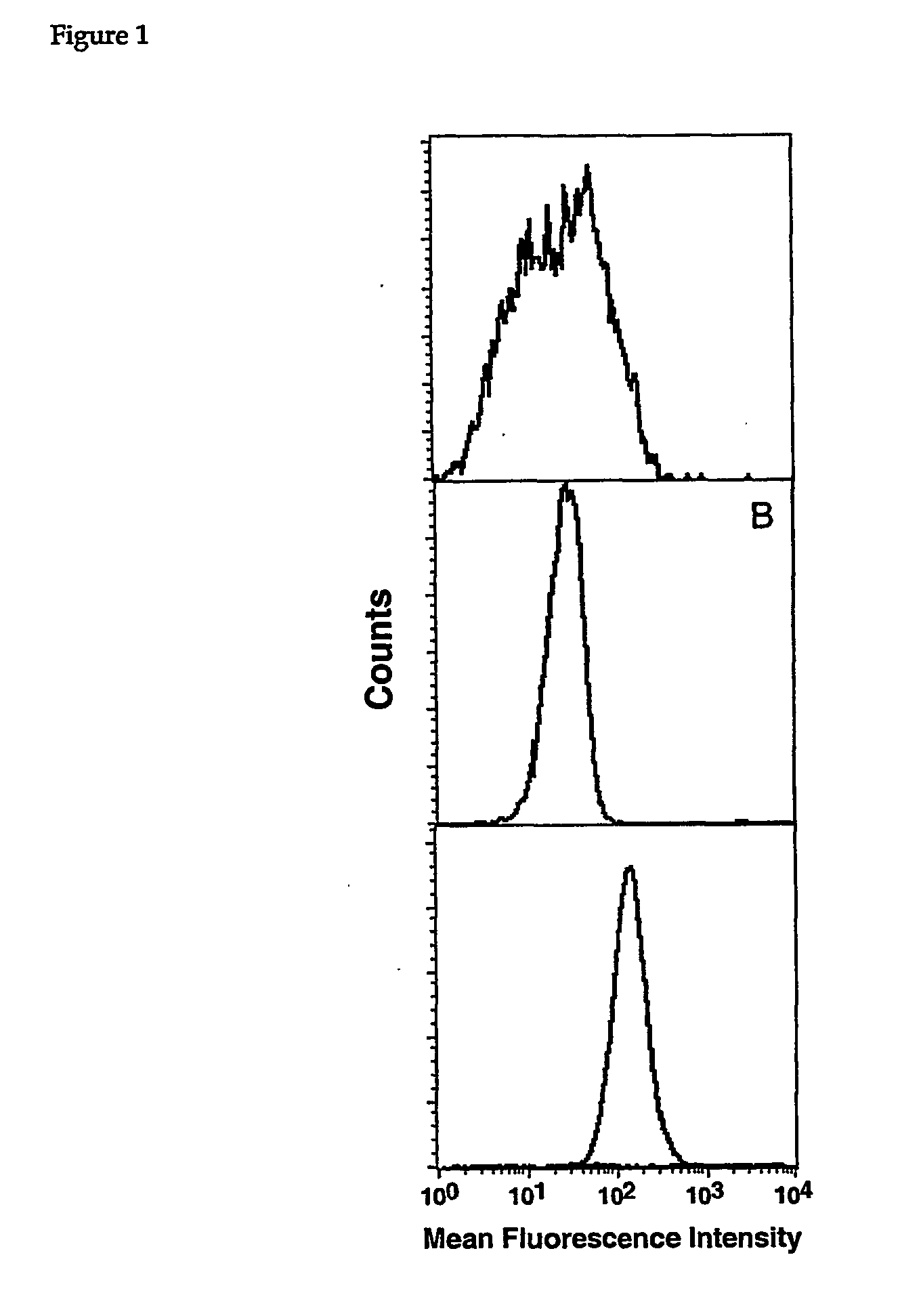 Multicomponent conjugates which bind to target molecules and stimulate cell lysis