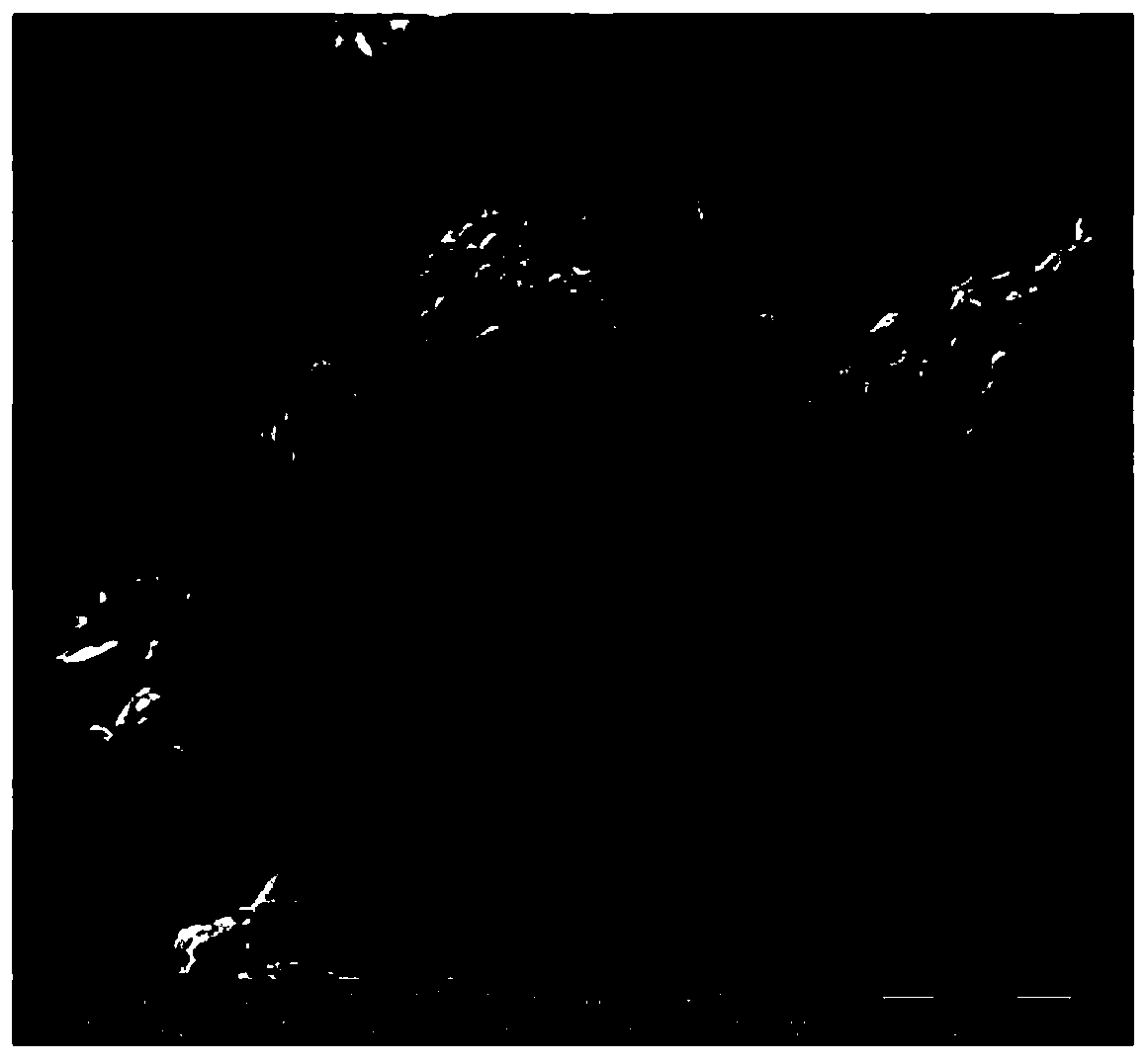 Full-dry purification method of lithium ion battery positive electrode material and lithium ion battery positive electrode material obtained through purification