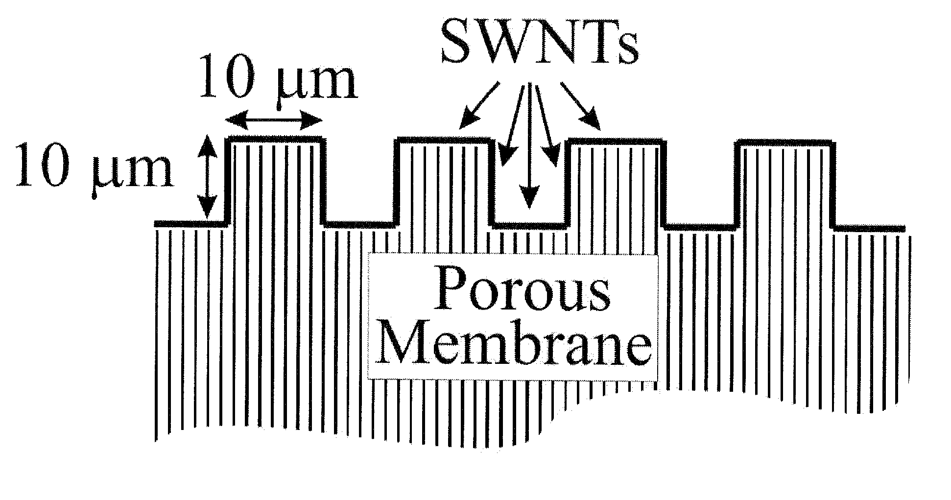 Single wall carbon nanotube based air cathodes