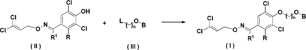 Insecticidal Oxime Ether Dichloroallyl Ether Compounds