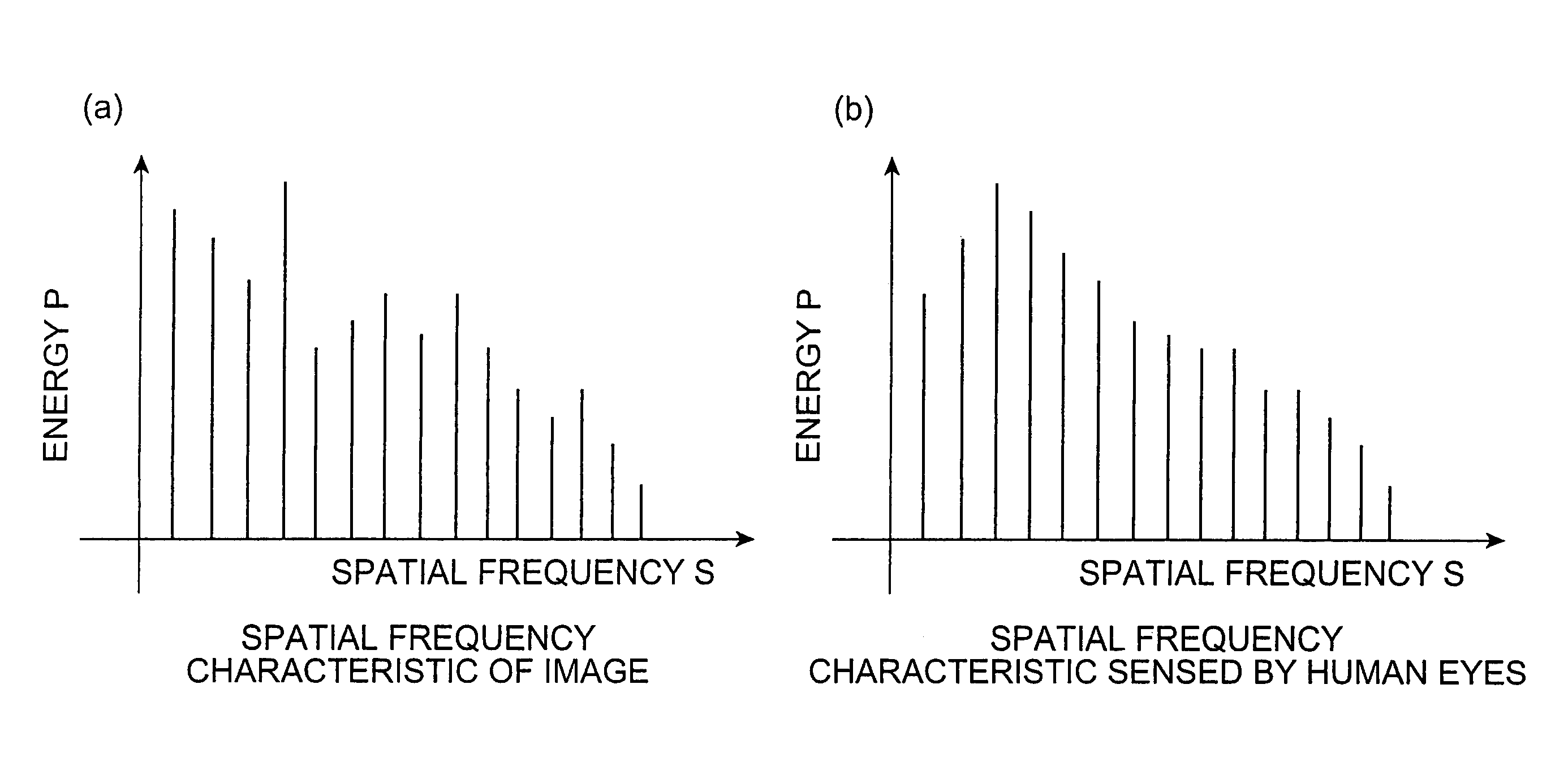 Video evaluation apparatus, spatio-temporal frequency analyzing apparatus, video evaluation method, spatio-temporal frequency analyzing method, video evaluation program, and spatio-temporal frequency analyzing program