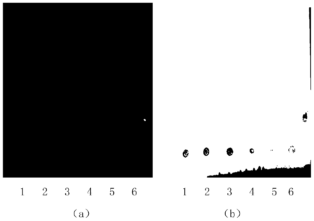 Detection method for discriminating baicalin and chlorogenic acid thin layer in compound honeysuckle flower particles