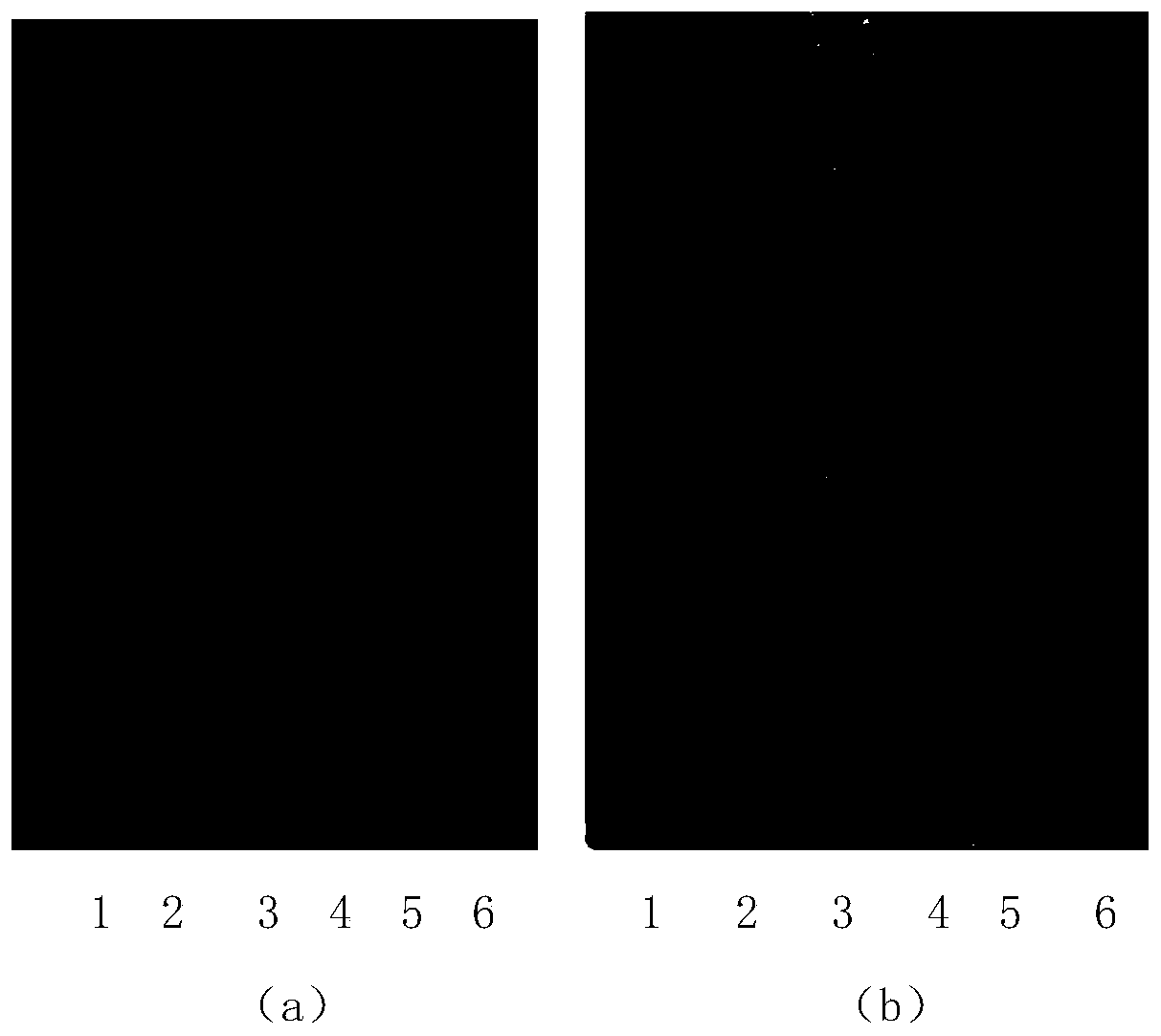 Detection method for discriminating baicalin and chlorogenic acid thin layer in compound honeysuckle flower particles