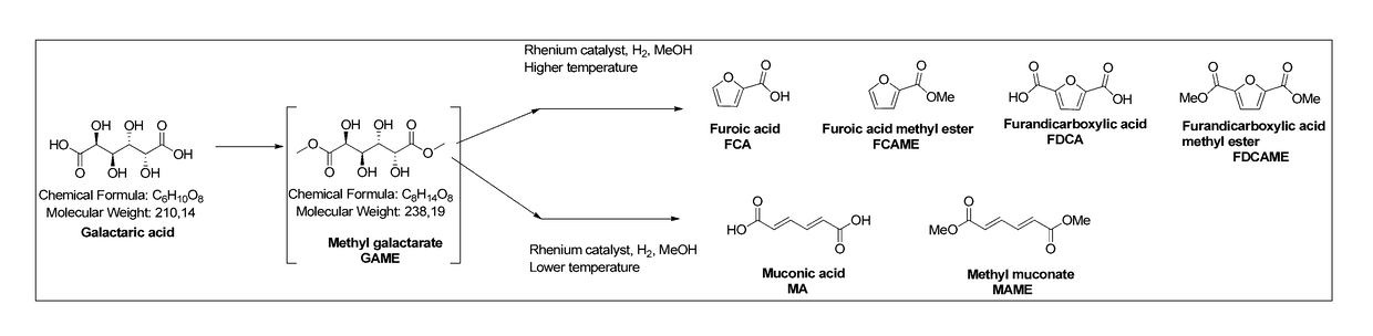 Method for producing muconic acids and furans from aldaric acids