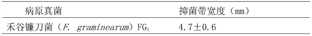 Bacillus subtilis and application in preventing fusarium graminearum