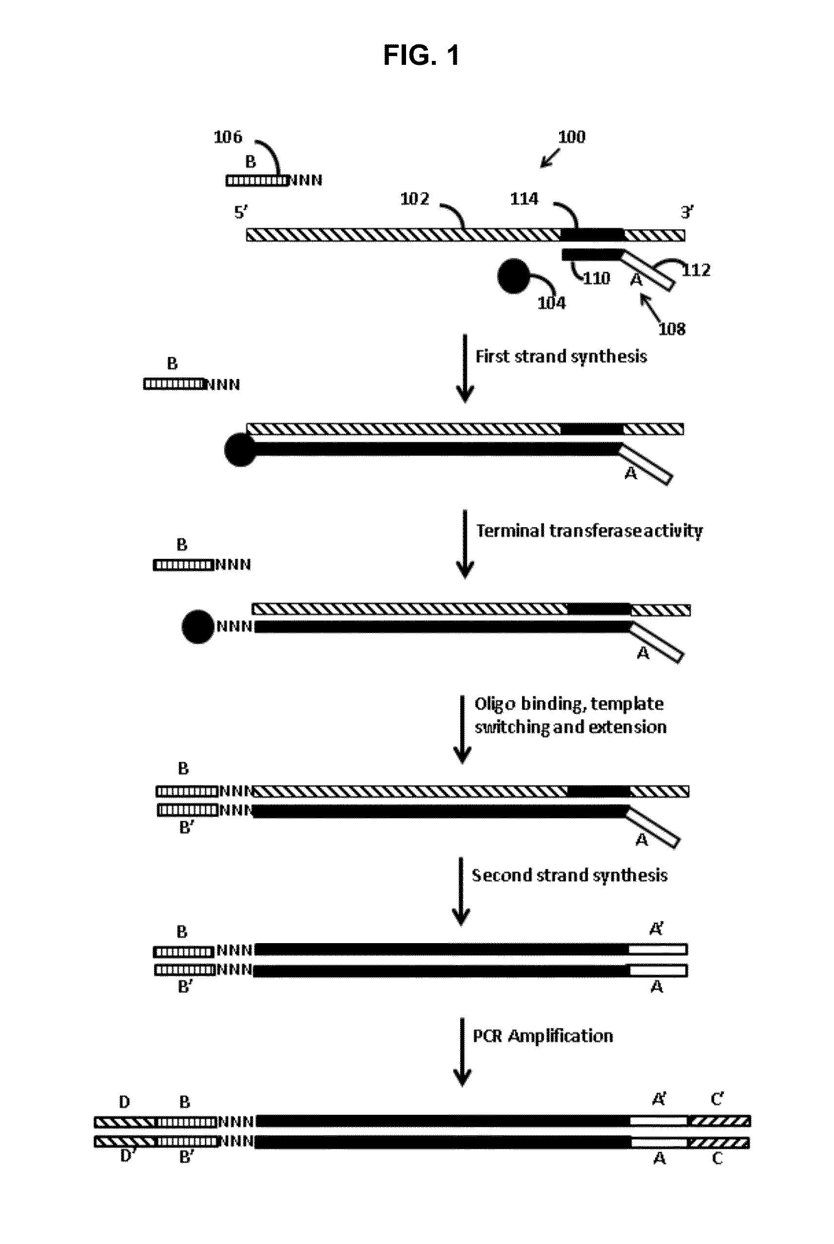 Methods for adding adapters to nucleic acids and compositions for practicing the same