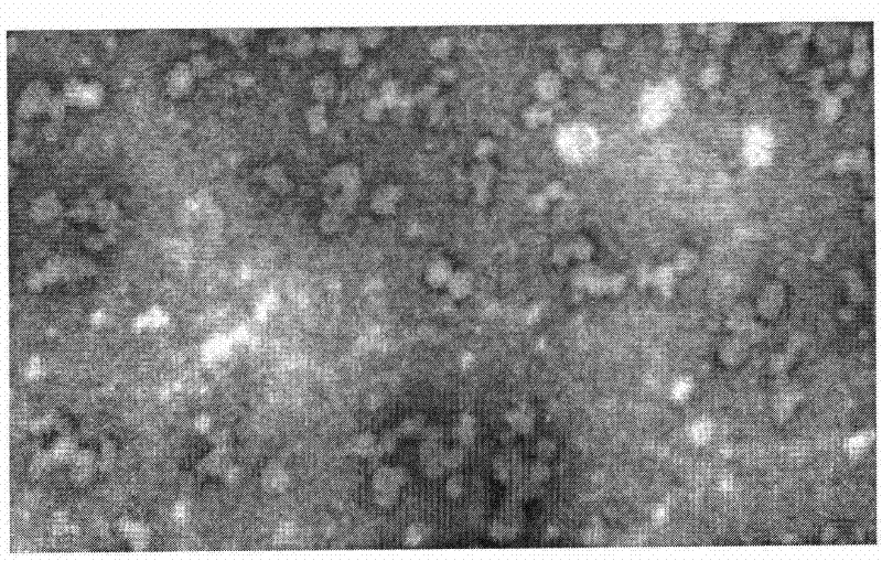 Pseudovirus based on Vasohibin gene and preparation method and application thereof