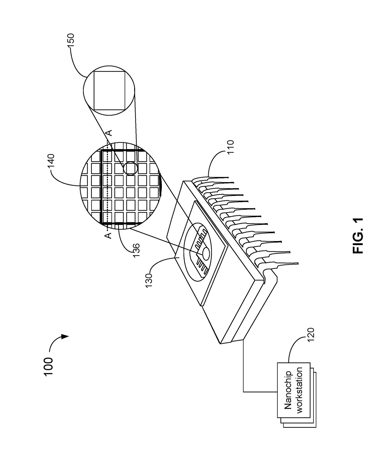 Formation and calibration of nanopore sequencing cells