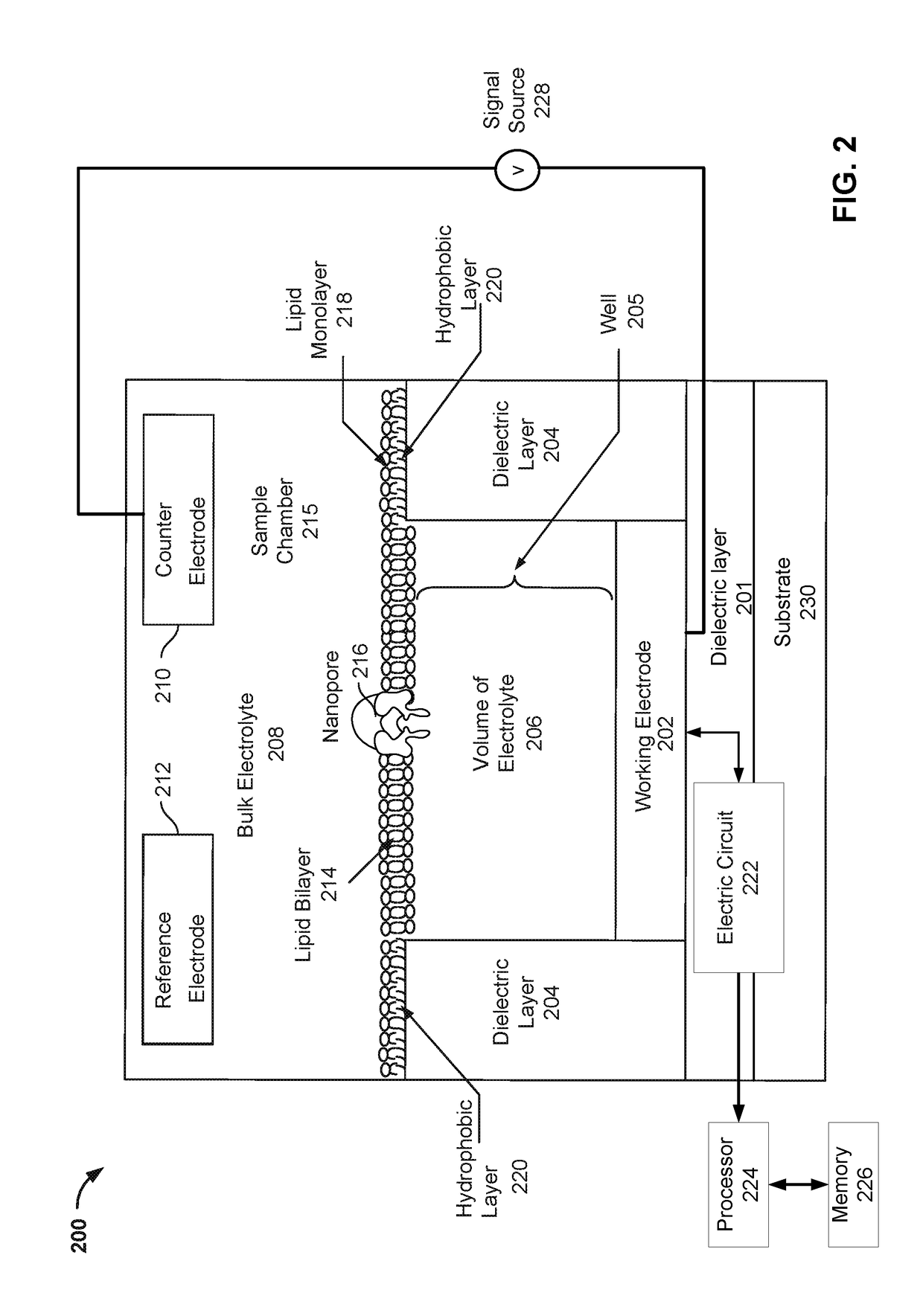 Formation and calibration of nanopore sequencing cells