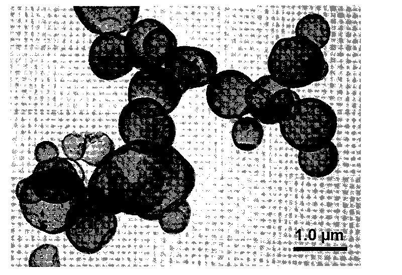 Hollow microsphere with superparamagetism Fe3O4 nanocrystallines and preparation method thereof