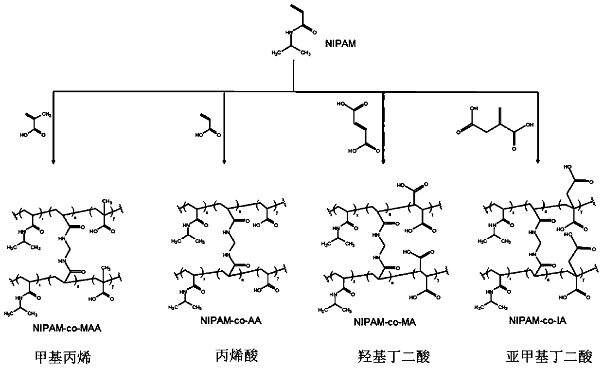 Porous nano-scale soft colloid and method for transporting cells or tissue culture by using porous nano-scale soft colloid