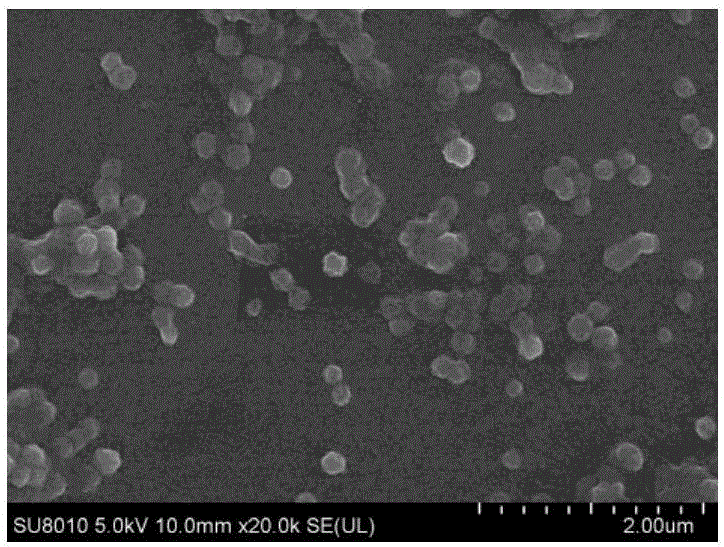 Method for preparing silk fibroin nanosphere