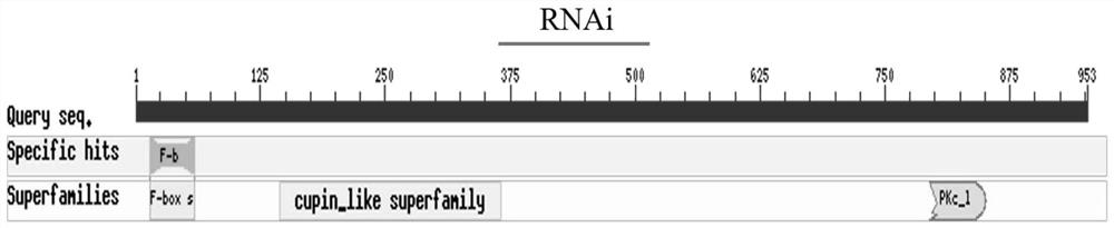 Genes, proteins, gene expression cassettes, expression vectors, host cells, methods and applications for controlling rice flowering time