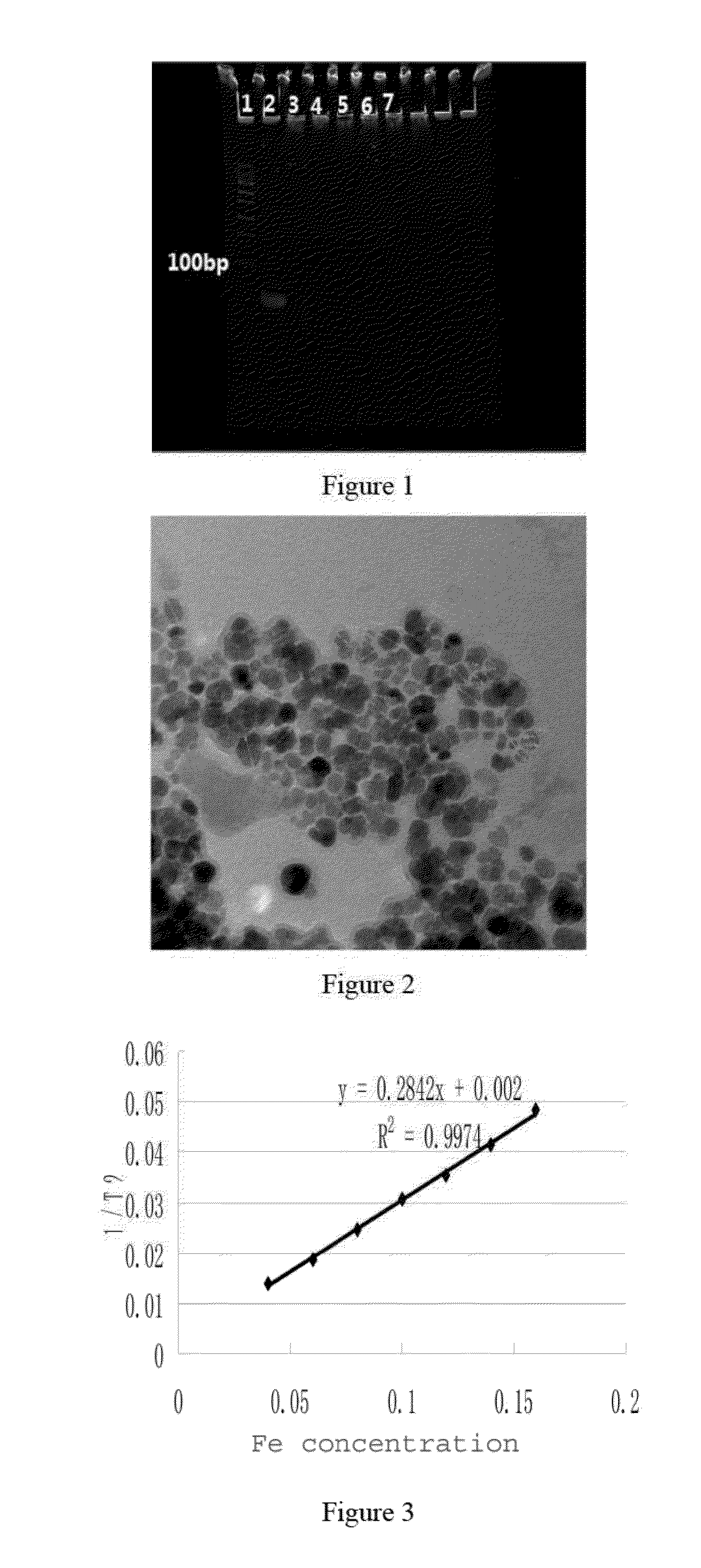 Targeting aptamer for atherosclerosis and preparation method and application thereof