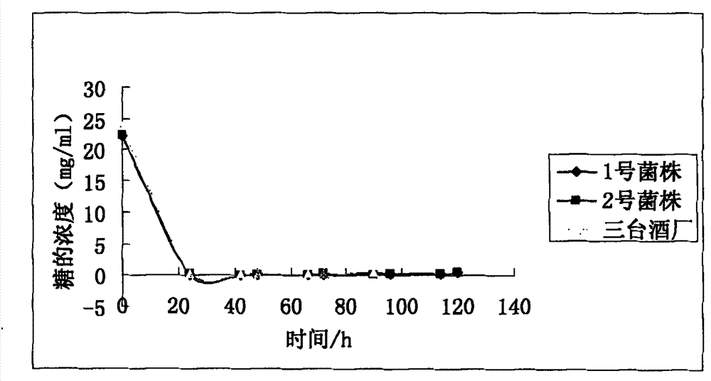 Recombinant saccharomyces cerevisiae engineering strain and application thereof