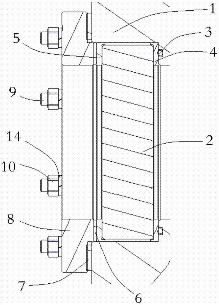 Constant volume bomb window