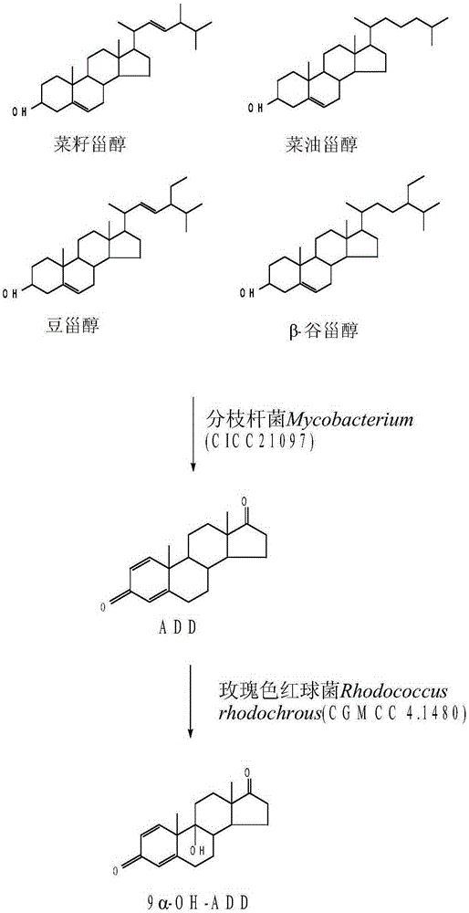 Method for preparing 9 alpha-hydroxy-androstane-1,4-diene-3,17-dione