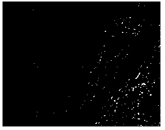 Preparation method of graphene/oxidized graphene