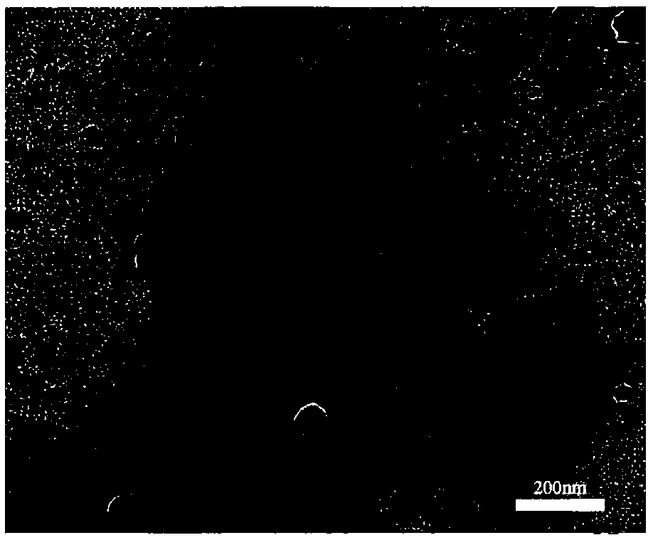 Preparation method of superparamagnetic carboxylated chitosan/Fe3O4 nanoparticle aggregate