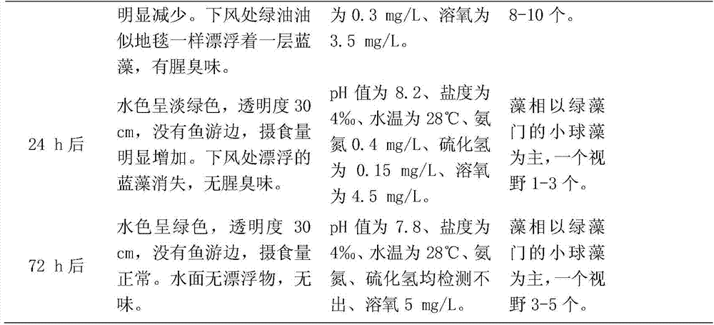 A kind of microecological preparation for inhibiting blue-green algae