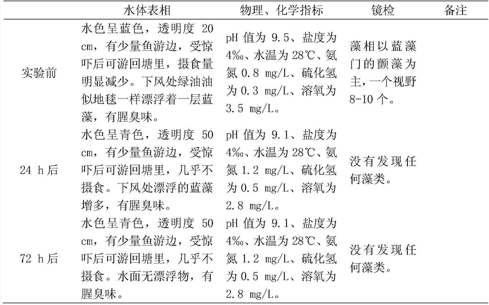 A kind of microecological preparation for inhibiting blue-green algae