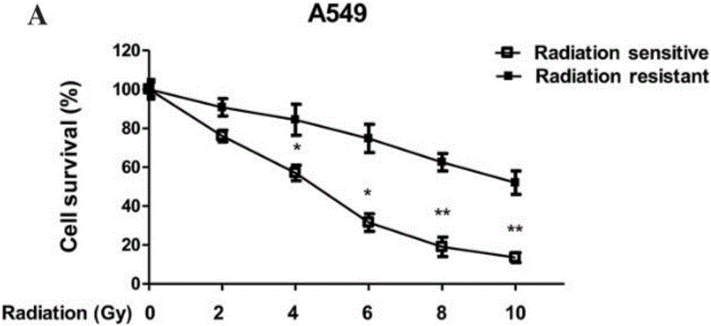 Inhibitor for HIF-1alpha relevant to non-small cell lung cancer radiotherapy