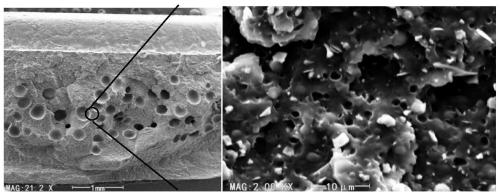 Micro-foaming polypropylene material and preparation method thereof