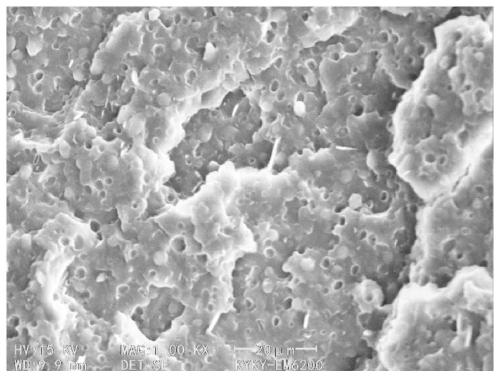 Micro-foaming polypropylene material and preparation method thereof