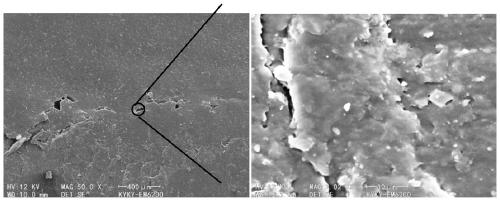 Micro-foaming polypropylene material and preparation method thereof