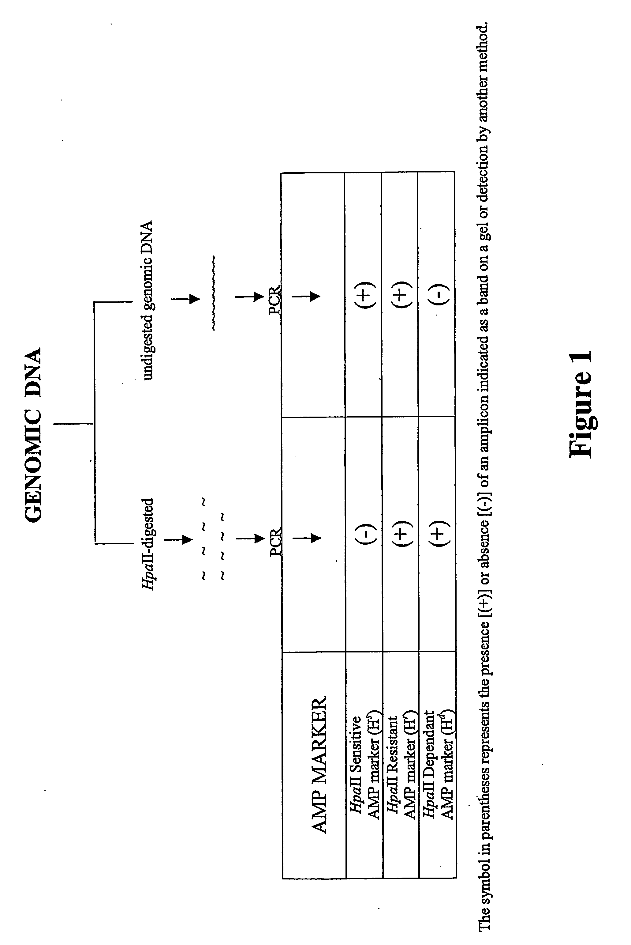 Detection of dna methylation