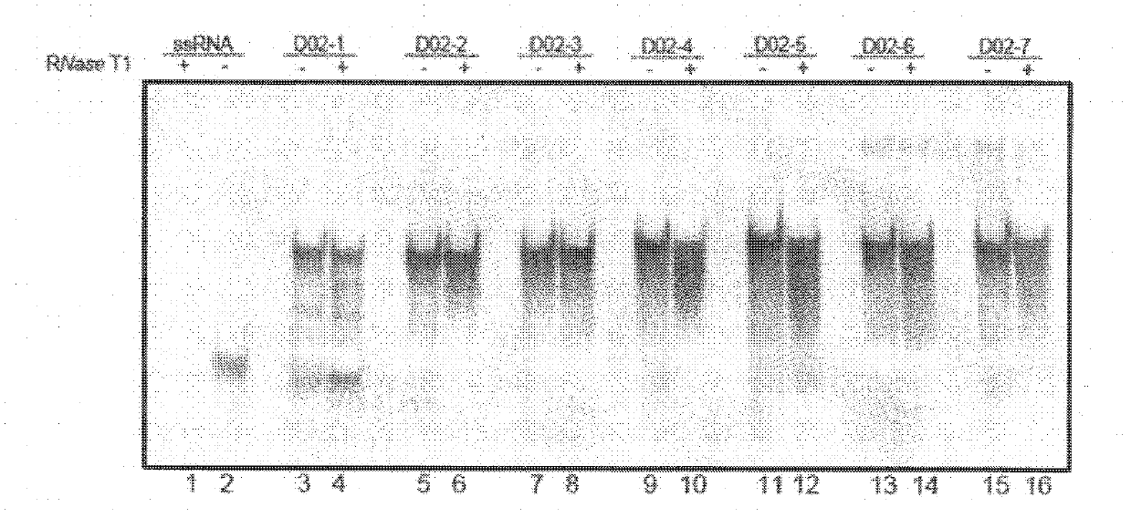 Method for separating low copy genes