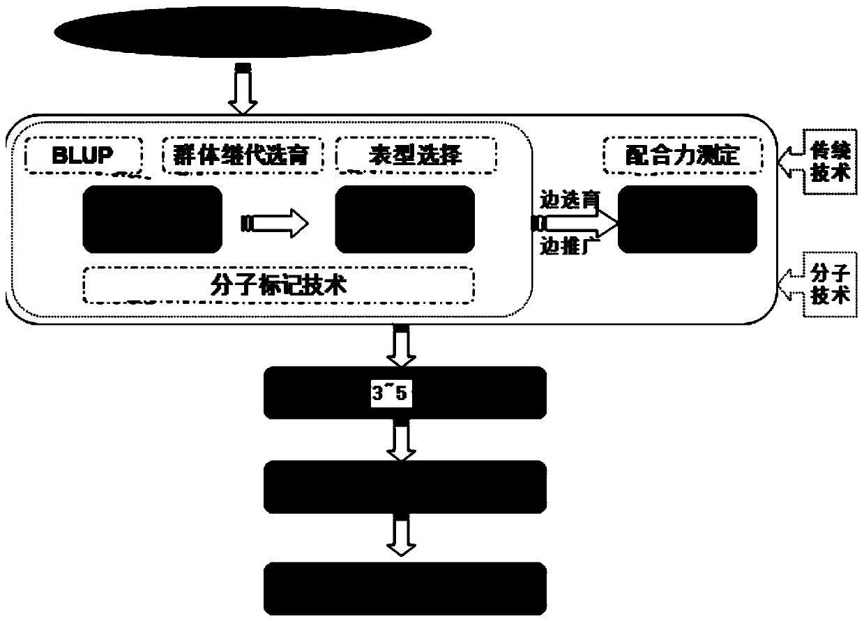 A kind of cultivation method of Sumei black pig