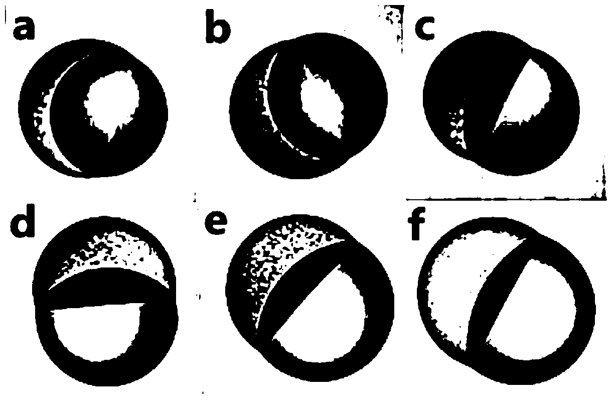 Monodisperse polarity isomerism Janus microsphere with controllable grain diameter and morphology, preparation method of microsphere and microfluid control device used in method