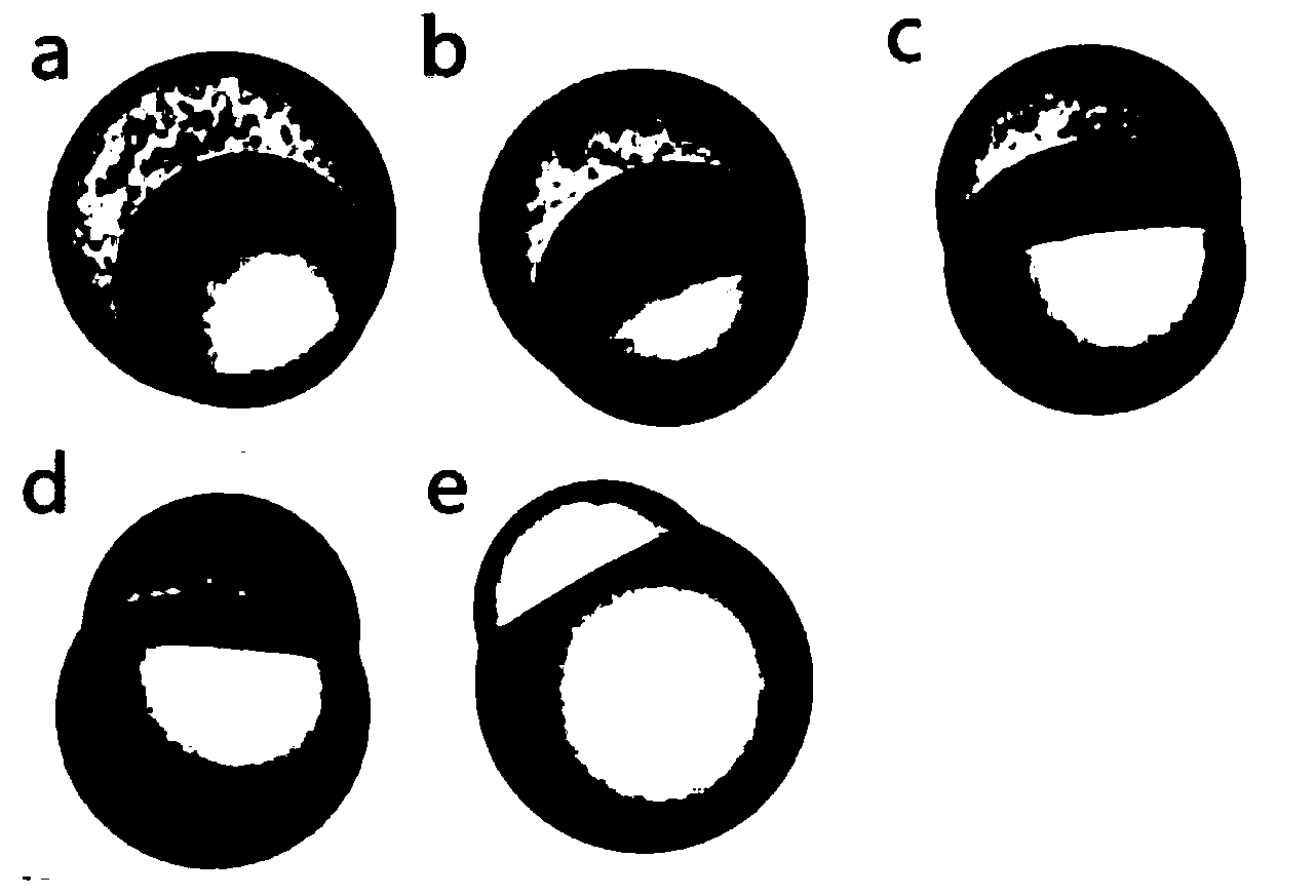 Monodisperse polarity isomerism Janus microsphere with controllable grain diameter and morphology, preparation method of microsphere and microfluid control device used in method