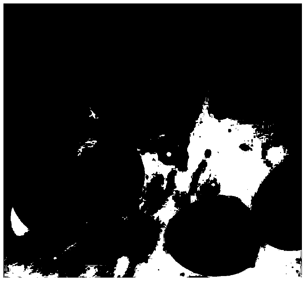 Monodisperse polarity isomerism Janus microsphere with controllable grain diameter and morphology, preparation method of microsphere and microfluid control device used in method