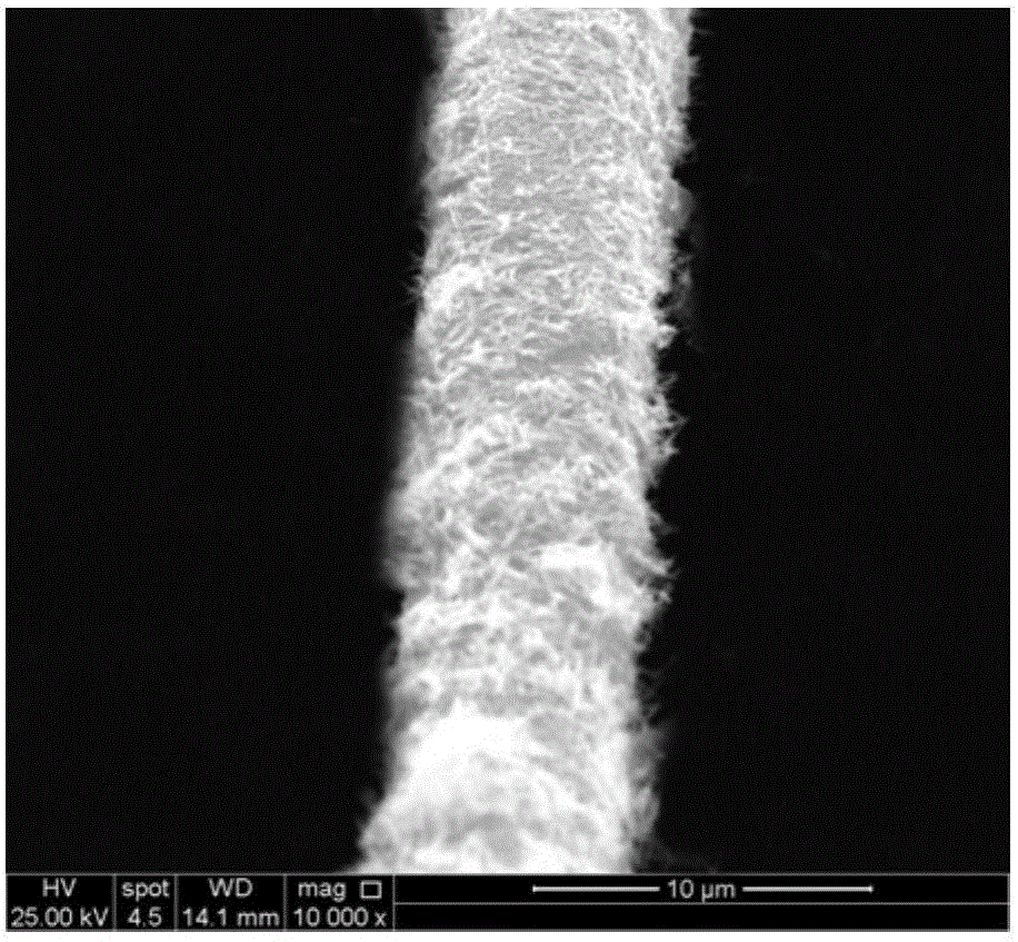 Preparation method and application of carbon-fiber-reinforced macromolecule-based composite