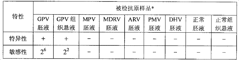 Muscovy duck gosling plague latex particle agglutination reagent and preparation method thereof