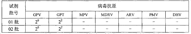 Muscovy duck gosling plague latex particle agglutination reagent and preparation method thereof