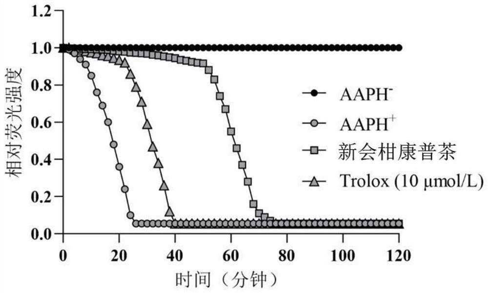 Xinhui citrus health Puer tea and preparation method thereof