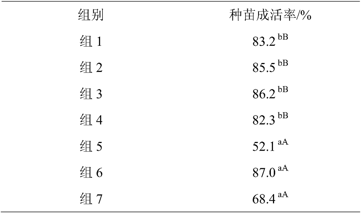 Tissue culture method for increasing survival rate of seed seedlings of millettia speciosa champ