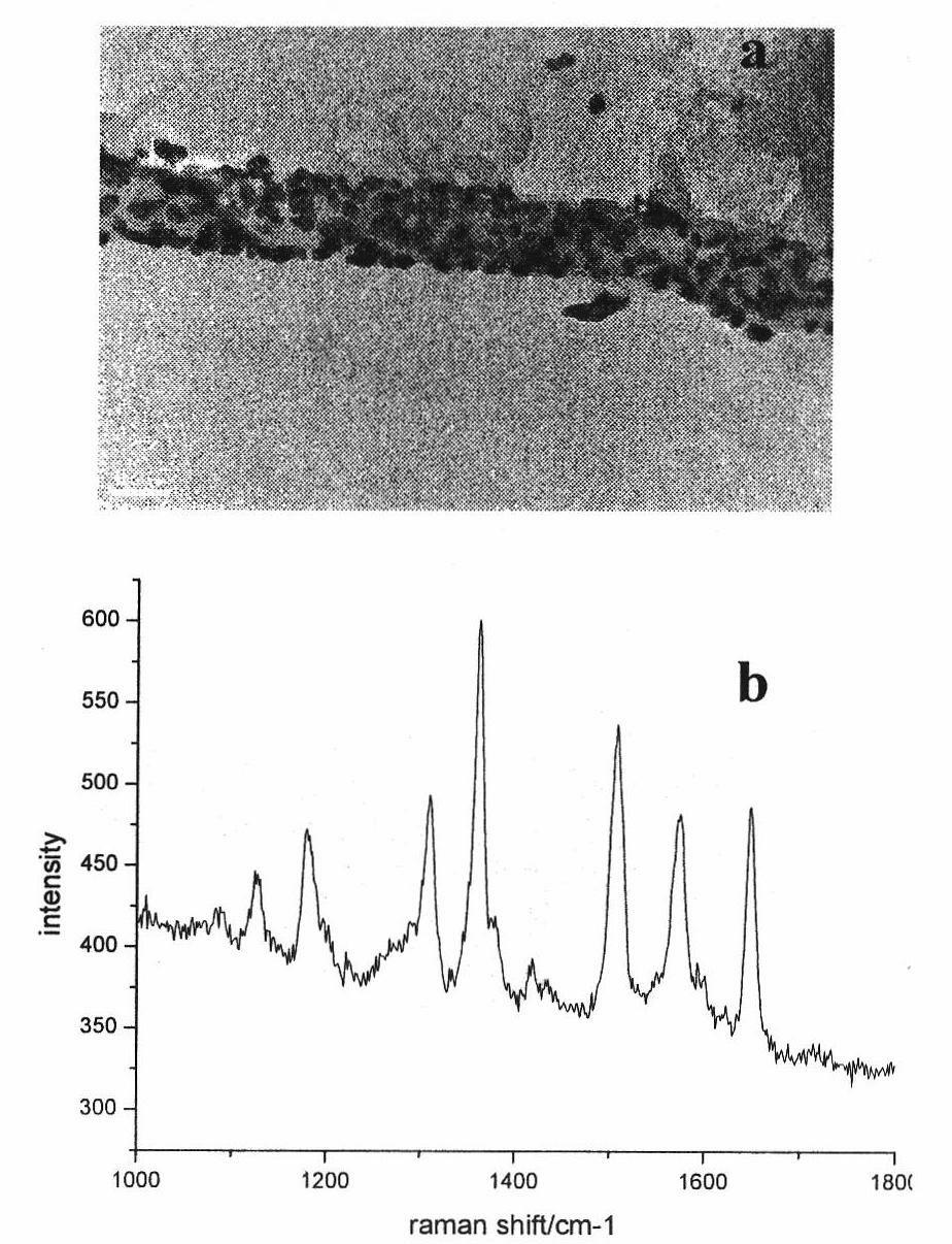 Preparation method of silicon nanowires with controlled surface-modified silver particles as single-molecule SERS (surface enhanced Raman scattering) detection substrate