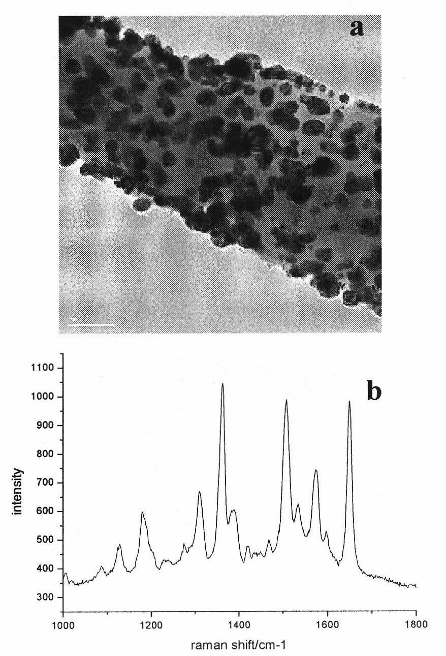 Preparation method of silicon nanowires with controlled surface-modified silver particles as single-molecule SERS (surface enhanced Raman scattering) detection substrate