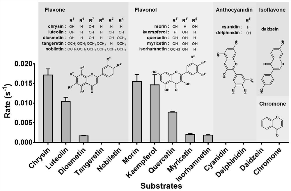 Novel flavone reductase and application thereof