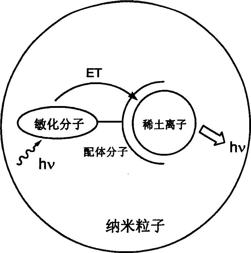 Rare-earth nano luninous particle based on fluorescent energy transfer principle and its preparing method