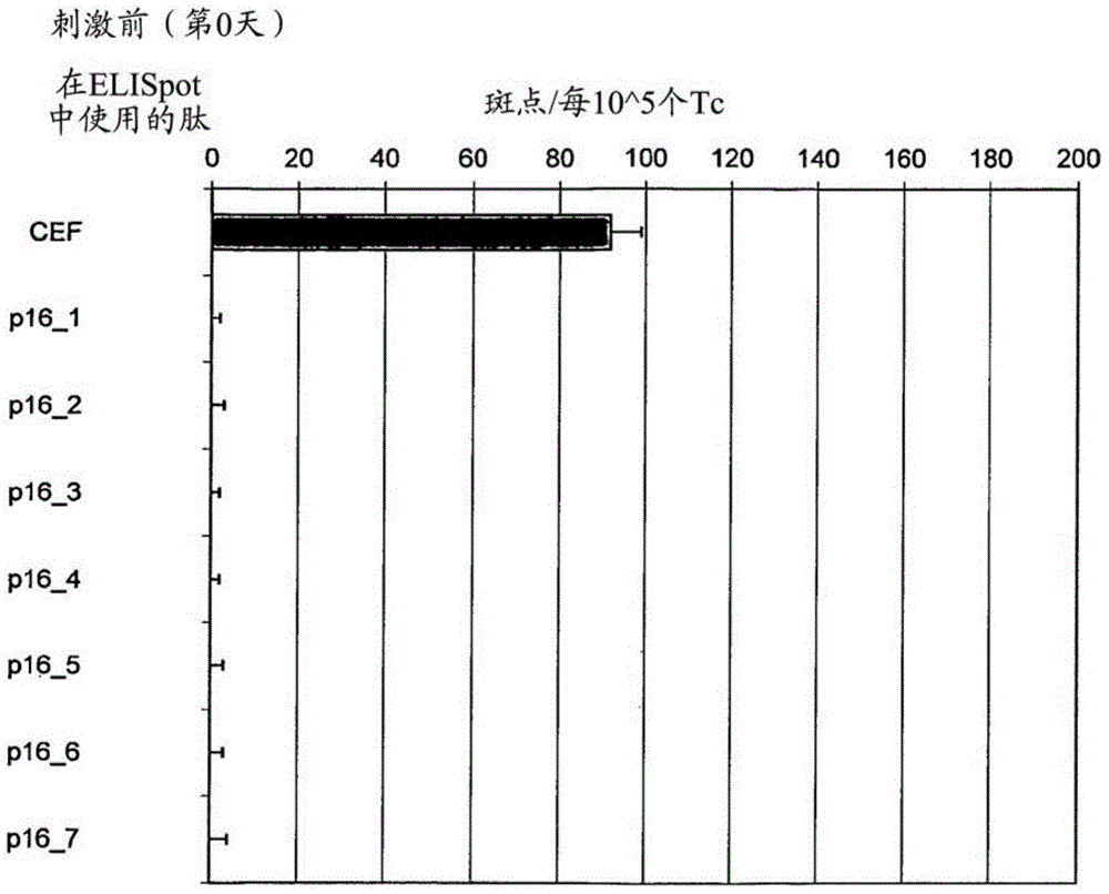 P16INK4A derived peptides for prophylaxis and therapy of HPV-associated tumors and other p16 expressing tumors