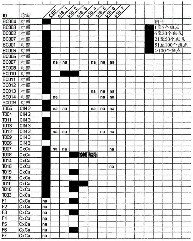 P16INK4A derived peptides for prophylaxis and therapy of HPV-associated tumors and other p16 expressing tumors