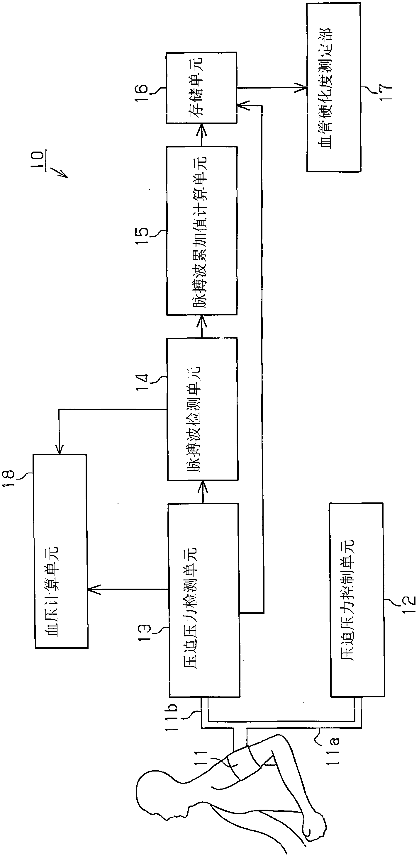 Circulatory function measurement device