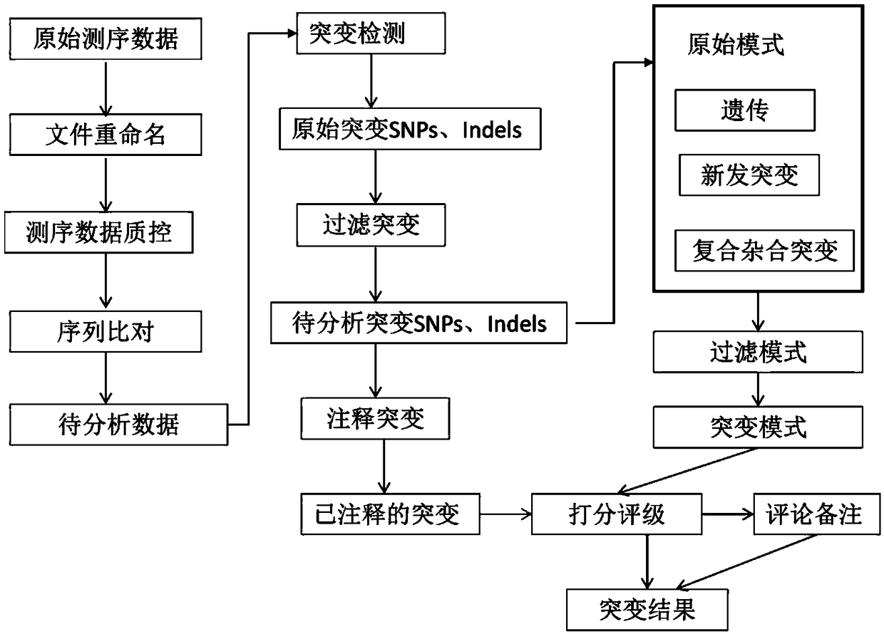 Sequencing data mutation analysis system